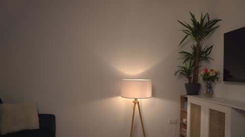 Snapshot of kevinandresxx chatting on 01.03.25 Kevin online show from 01.03.25