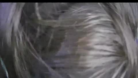 Keyla online show from 01.17.26