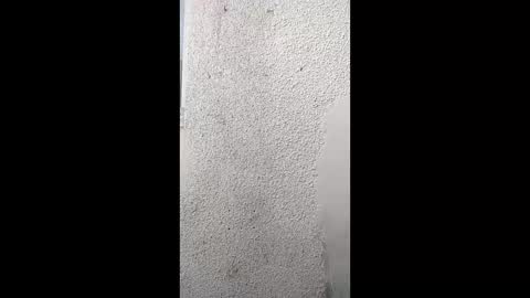 Khushipussy online show from 04.07.26