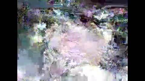 Snapshot of ki389253 chatting on 03.04.26 ki389253 online show from 03.04.26