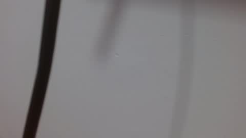 Snapshot of kiitty_horny_ chatting on 10.03.25 Melody online show from 10.03.25