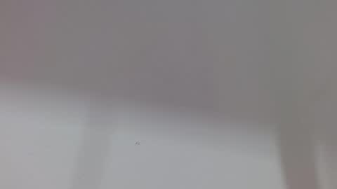 Snapshot of kiitty_horny_ chatting on 10.11.25 Melody online show from 10.11.25