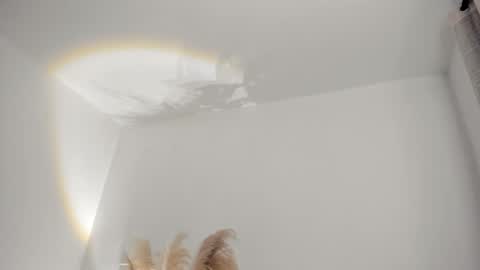 Kim Murphy online show from 02.19.26