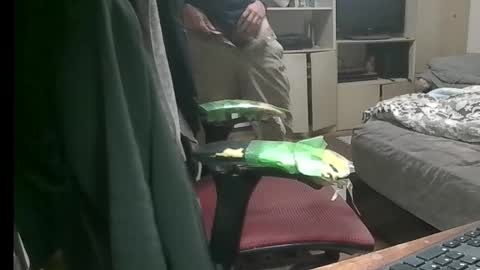 Snapshot of kinchan069 chatting on 11.09.25 kinchan069 online show from 11.09.25