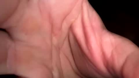 king26844 online show from 03.29.26