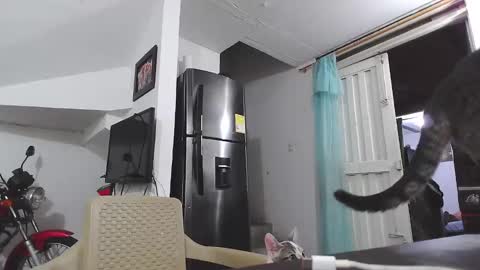 king_russo online show from 01.17.25