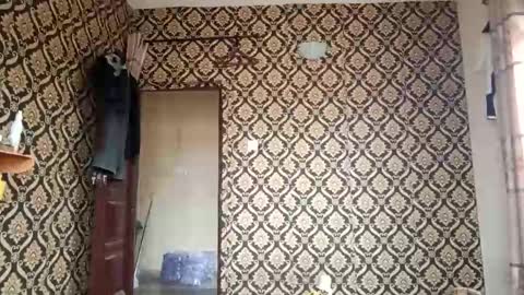 Snapshot of kingemizzy chatting on 02.03.26 kingemizzy online show from 02.03.26