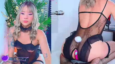    online show from 02.19.26