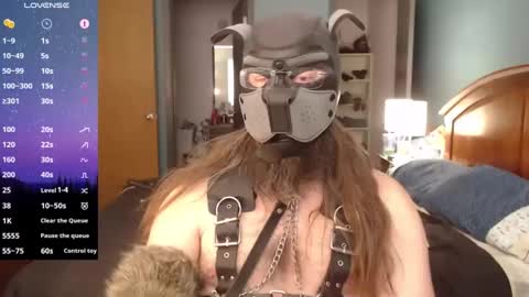 kinkywolf87 online show from 12.06.24