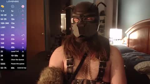 kinkywolf87 online show from 02.01.25