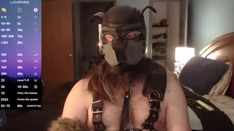 kinkywolf87 online show from 02.02.25
