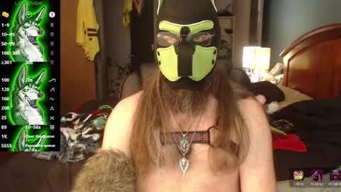 Snapshot of kinkywolf87 chatting on 06.29.26 kinkywolf87 online show from 06.29.26