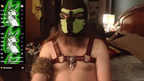 Snapshot of kinkywolf87 chatting on 07.03.26 kinkywolf87 online show from 07.03.26