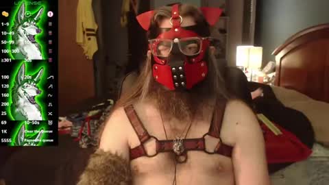 Snapshot of kinkywolf87 chatting on 07.22.26 kinkywolf87 online show from 07.22.26