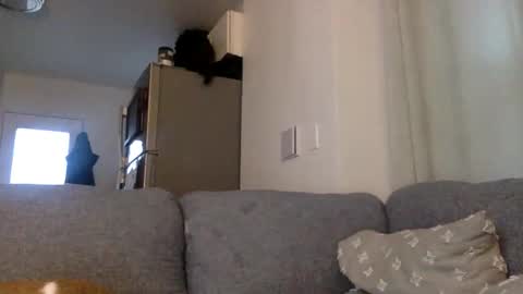 kinnkybwc online show from 03.29.26