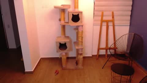 Snapshot of kintsugim chatting on 11.07.25 kintsugi online show from 11.07.25