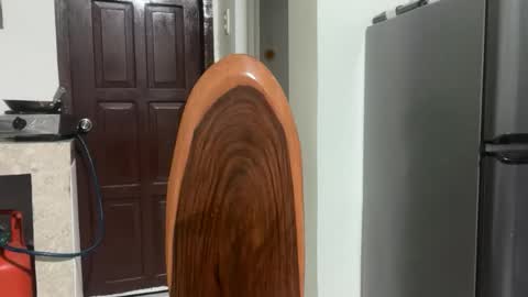 Snapshot of kira_danaya chatting on 03.29.26 kira_danaya online show from 03.29.26