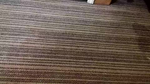 kis4kum online show from 04.21.26