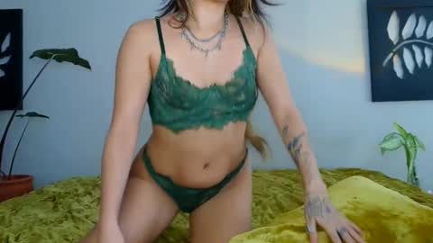 Rose online show from 03.01.25