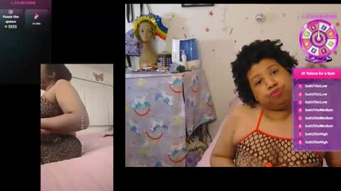 kitten online show from 01.14.26