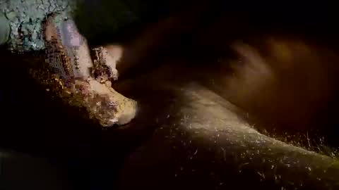 Snapshot of kitkat_loco1 chatting on 11.04.25 Kitkat loco online show from 11.04.25