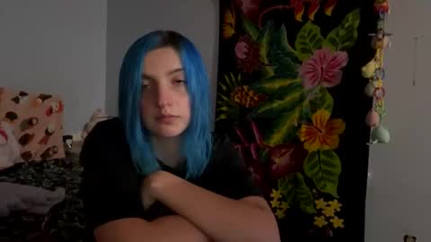 Snapshot of kitten4sale666 chatting on 12.06.24 Kitty online show from 12.06.24