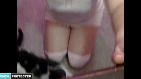 Snapshot of kitten4sale666 chatting on 01.16.25 Kitty online show from 01.16.25