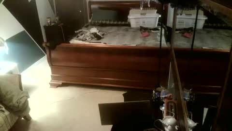 KittenKatch online show from 02.08.26