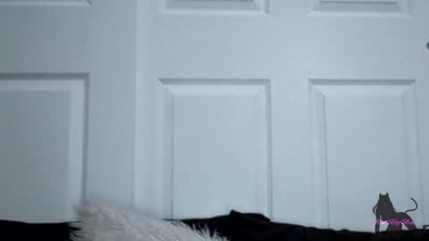 Snapshot of kittibbybells0311 chatting on 11.11.25 Kitti online show from 11.11.25