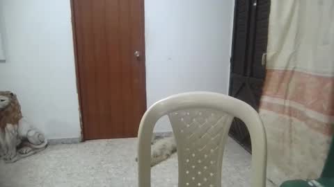 Snapshot of kitybigboobsx chatting on 01.15.25 kity boobsx online show from 01.15.25