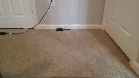 Snapshot of kkristy07 chatting on 02.21.26 kkristy07 online show from 02.21.26