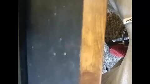 LOUiViLAN online show from 01.04.25