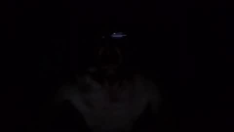 Snapshot of kobolt67 chatting on 10.09.25 kobolt67 online show from 10.09.25