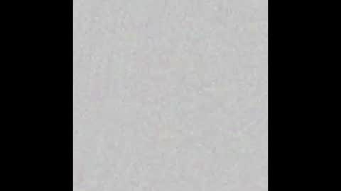 Neil online show from 02.23.25