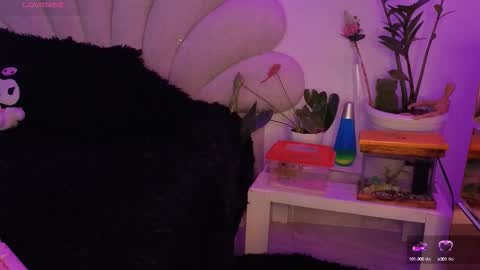 korolova online show from 10.12.25