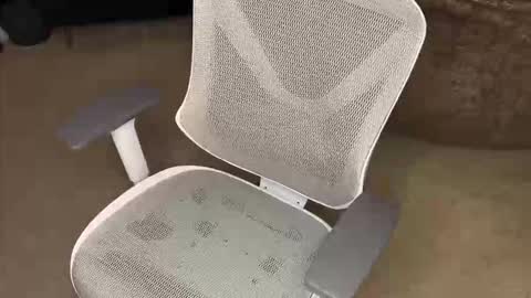 Snapshot of koryoncam chatting on 12.16.25 your hairy neighbor online show from 12.16.25