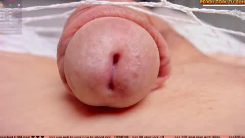 Petra online show from 11.04.25