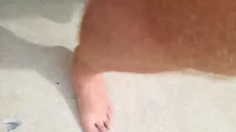 kramit1222 online show from 09.24.25