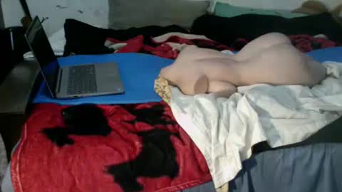 tsfemboi todd online show from 12.14.25