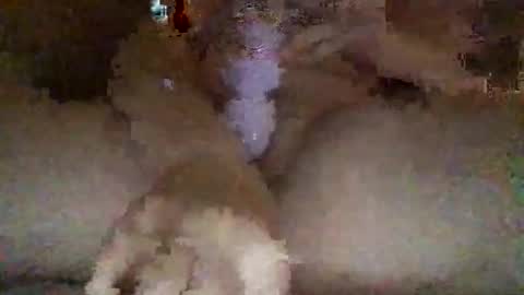 Snapshot of kylie69sm chatting on 02.27.26 kylie online show from 02.27.26