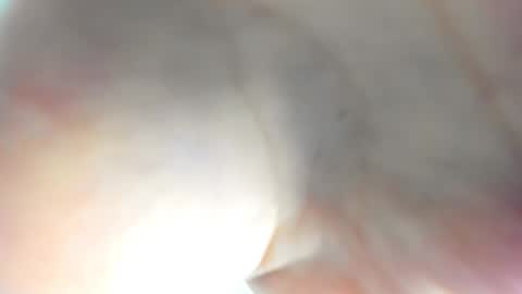 Ameli online show from 11.15.25