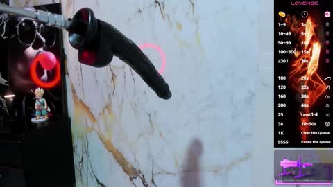 AMAZONA  online show from 01.08.26