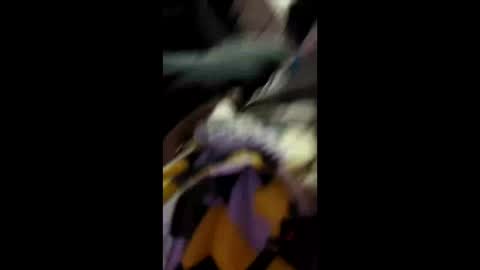 Snapshot of labran817 chatting on 04.11.26 labran817 online show from 04.11.26