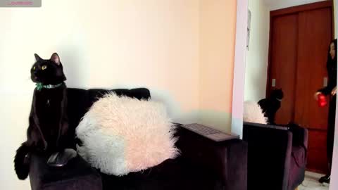 lace_victoria online show from 01.07.26