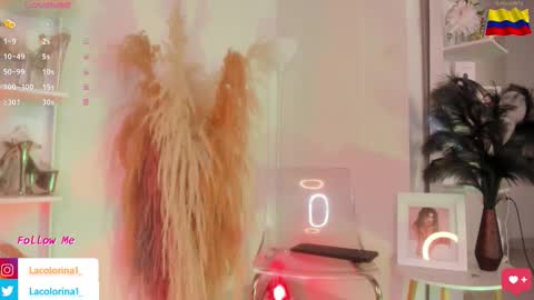 Snapshot of lacolorina_ chatting on 11.05.25 Colorina online show from 11.05.25