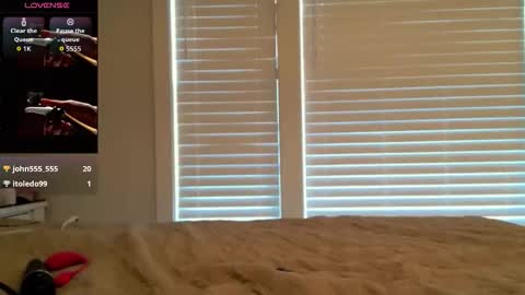 Snapshot of ladybabs chatting on 11.04.25 Ladybabs online show from 11.04.25