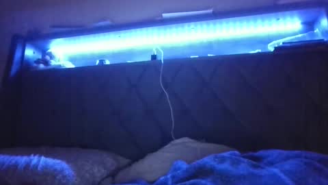 Snapshot of ladycinnabon chatting on 02.24.25 Stephanie online show from 02.24.25