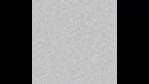  paola and a guest lol    online show from 11.13.25