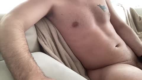 Snapshot of lampardinho91 chatting on 02.17.25 lampardinho91 online show from 02.17.25