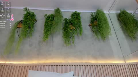 lana_lann online show from 02.02.25